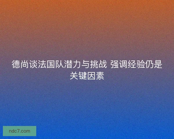 德尚谈法国队潜力与挑战 强调经验仍是关键因素