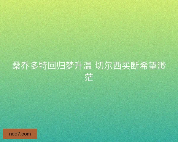 桑乔多特回归梦升温 切尔西买断希望渺茫